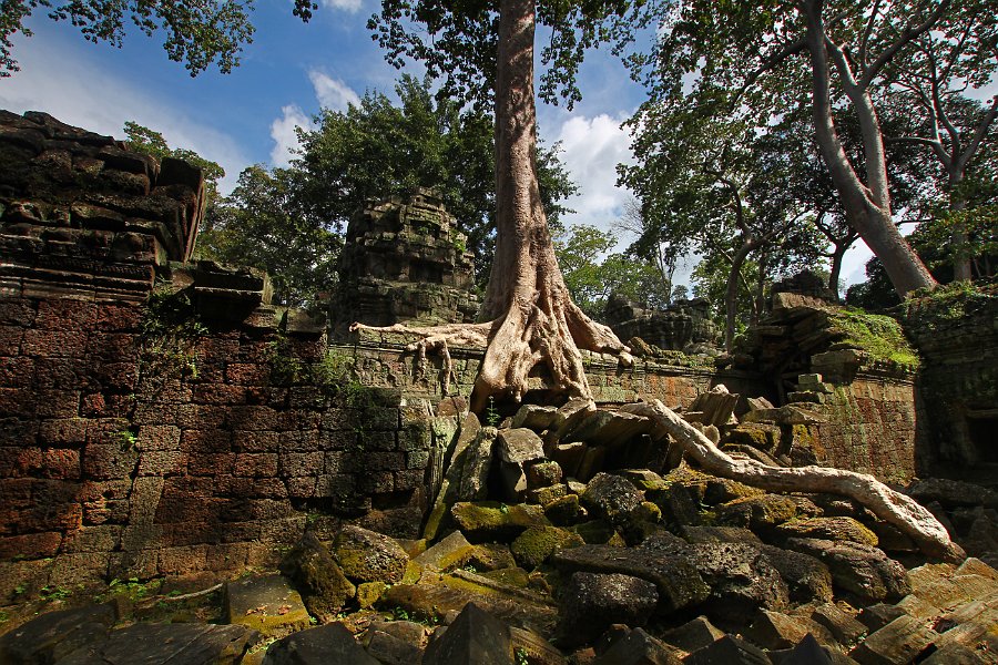 IMG_1298.JPG - Ta Phrom Tempel