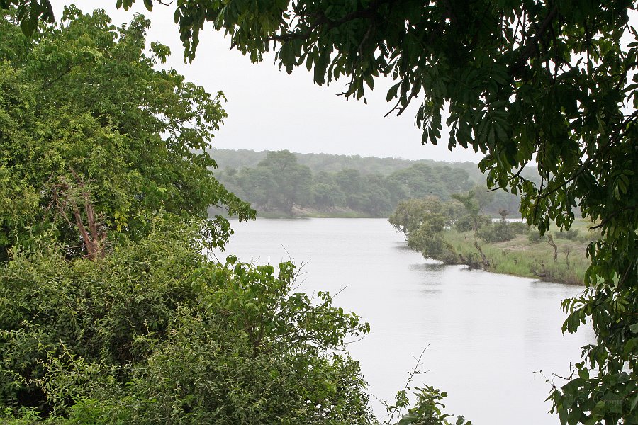 IMG_6662.JPG - Chobe River im Regen