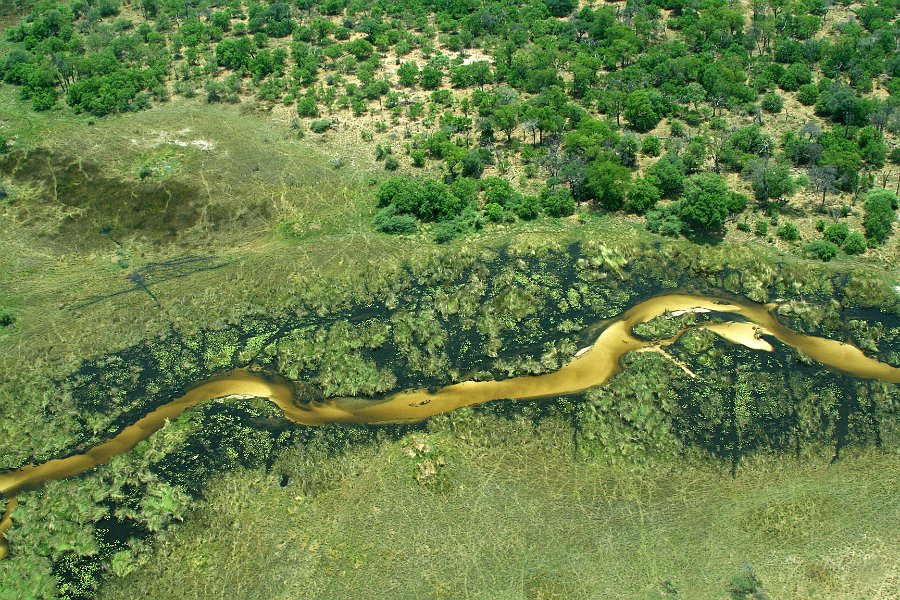 IMG_1430_350.JPG - Okavango Delta