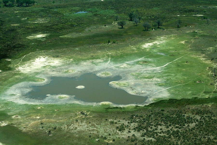 IMG_1434_350.JPG - Okavango Delta