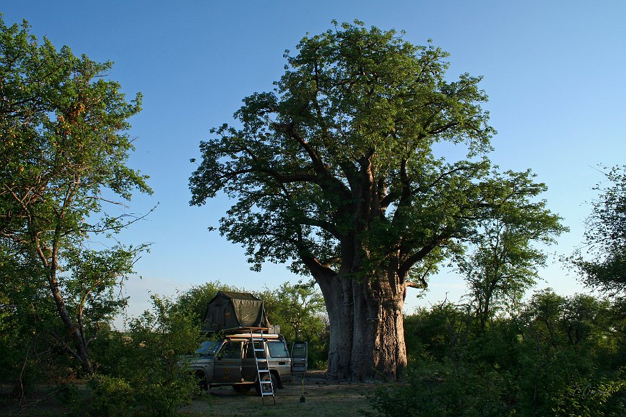IMG_1659_350.JPG - Bains Baobab Campsite 4