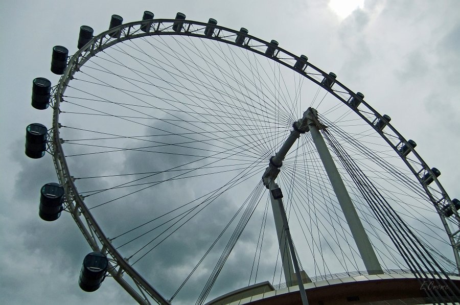 DSCF0443.JPG - Singapur - das Riesenrad