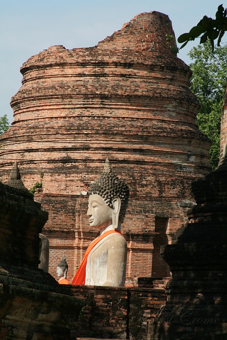 IMG_4464.JPG - Ayutthaya