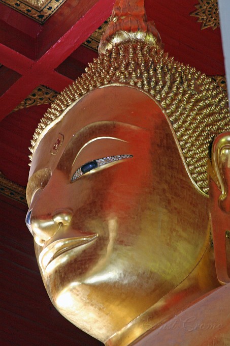 IMG_4482.JPG - Riesenbuddha in Ayuttaya