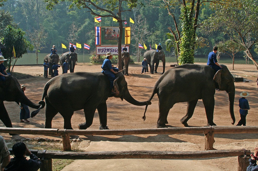 IMG_4795.JPG - Elefant Conservation Center