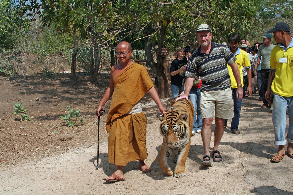 IMG_5159.JPG - der Tiger-Chef mit Besuchern